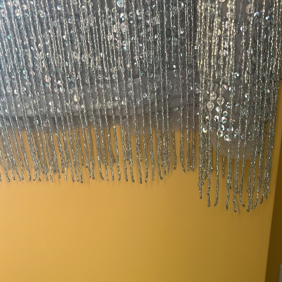 Adrianna Papell Beaded Fringe Dress - Picture 5 of 14